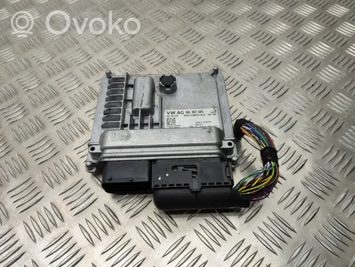 Volkswagen Transporter - Caravelle T6 Sterownik / Moduł ECU 04L907445