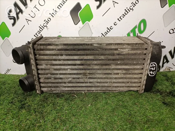 Peugeot 206 Chłodnica powietrza doładowującego / Intercooler 