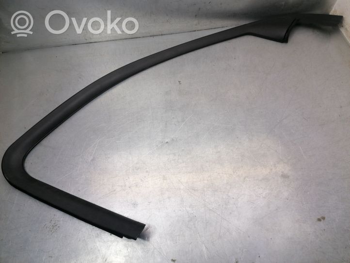 Jaguar X-Type Front door glass trim molding 1X435420891AJ