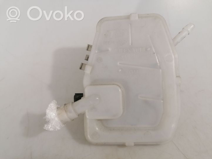 Opel Vivaro Brake fluid reservoir 460913484R