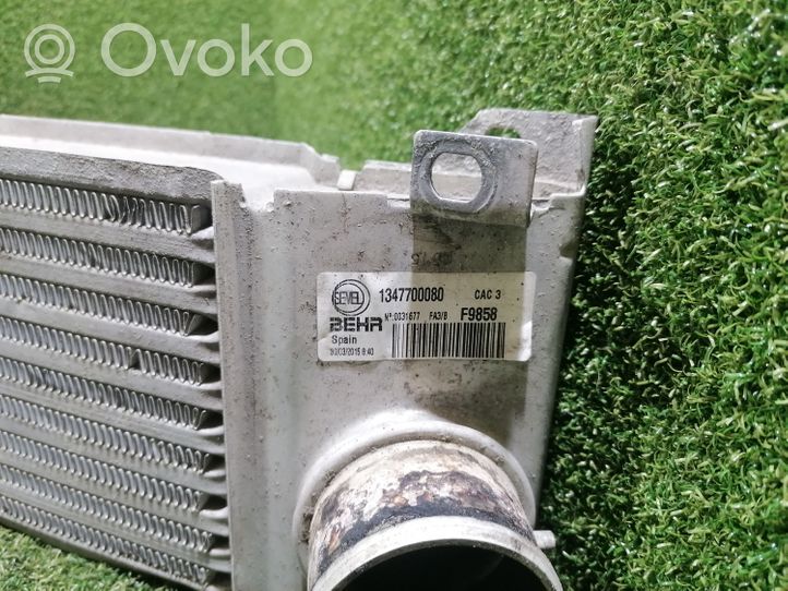 Peugeot Boxer Chłodnica powietrza doładowującego / Intercooler 1347700080