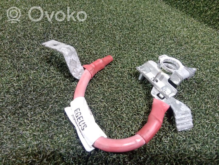 Renault Trafic III (X82) Positive cable (battery) 243867980R