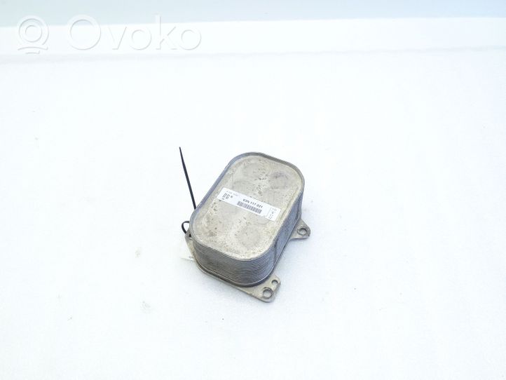 Volkswagen Golf VI Supporto di montaggio del filtro dell’olio 03N117021