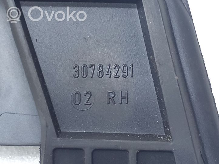 Volvo S80 Uszczelka drzwi przednich 30784291