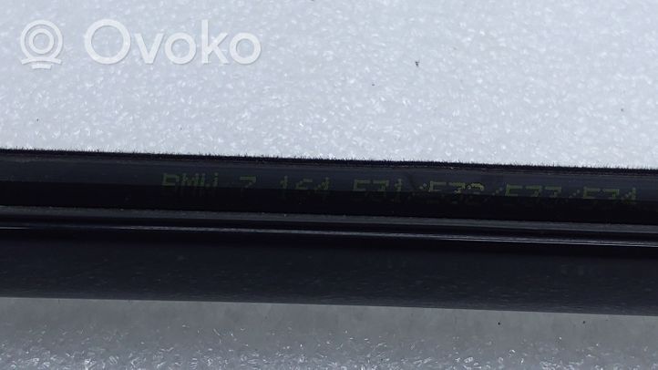 BMW X5 E70 Rivestimento modanatura del vetro della portiera posteriore 7164531