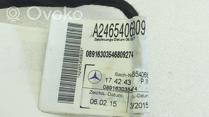 Mercedes-Benz A W176 Faisceau de câblage de porte arrière A2465406809