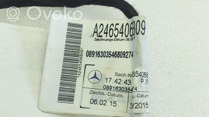 Mercedes-Benz A W176 Wiązka przewodów drzwi tylnych A2465406809