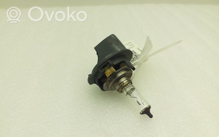 Volkswagen Golf V Żarówka do lampy przedniej 1300636308