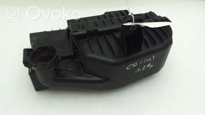 Citroen C4 Cactus Oro filtro dėžė 9670851880