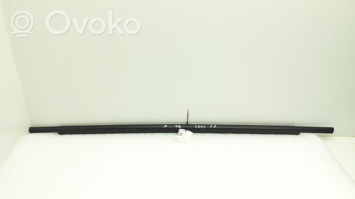 Hyundai Santa Fe Rear door glass trim molding 