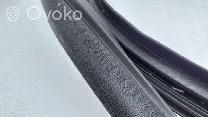 Toyota Aygo AB40 Front door rubber seal 