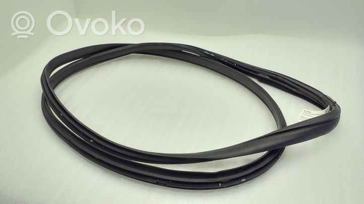 Toyota Aygo AB40 Front door rubber seal 