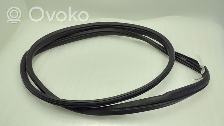 Toyota Aygo AB40 Front door rubber seal 