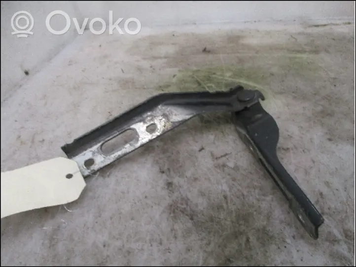 Seat Ibiza II (6k) Engine bonnet/hood hinges 6K0823301