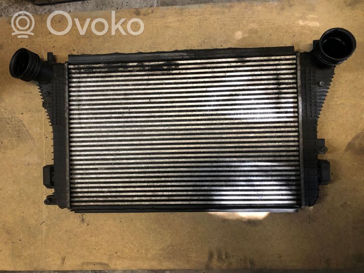 Volkswagen Jetta V Canale guida dell’aria dell’intercooler 1K0145803AN