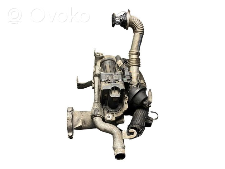 Citroen C4 II Valvola EGR 5056390300