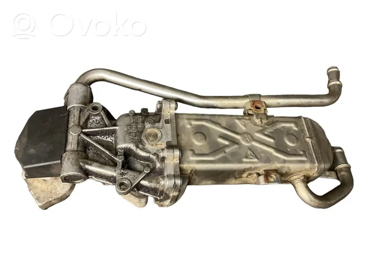 Volkswagen Polo V 6R EGR valve cooler 03P131512E