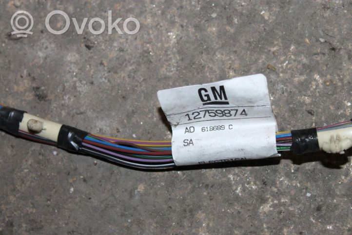 Saab 9-3 Ver2 Front door wiring loom 12759874