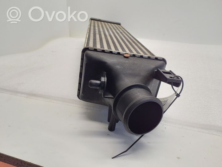 Alfa Romeo Giulietta Chłodnica powietrza doładowującego / Intercooler 884850006