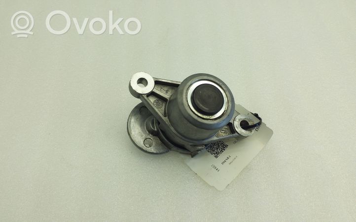 Citroen DS4 Napinacz paska wielorowkowego / Alternatora 9801875280