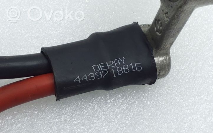 Skoda Fabia Mk3 (NJ) Câble de batterie positif 443971881G