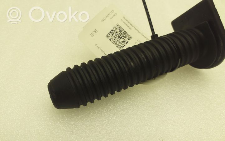 Citroen C4 Cactus Spare wheel bolt 8E0804899