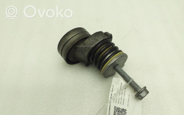 Volkswagen PASSAT B7 Tendicinghia generatore/alternatore 03C145299AC