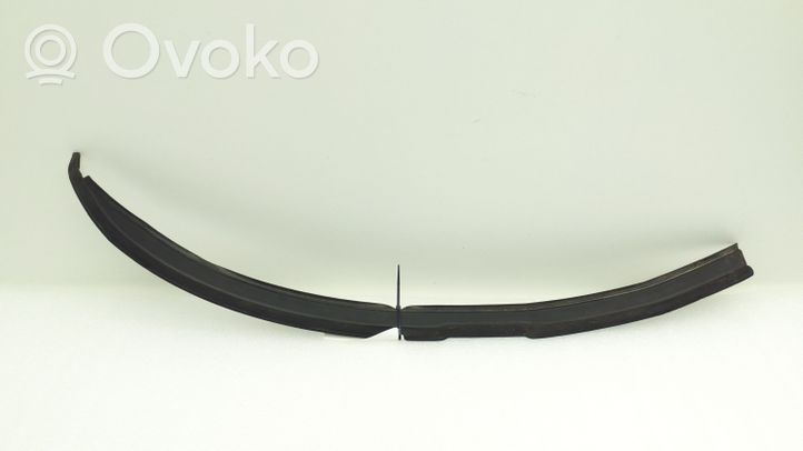 Mercedes-Benz CL C215 Front door rubber seal A2156730498