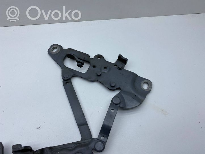 BMW 5 F10 F11 Cerniere del vano motore/cofano 7249887