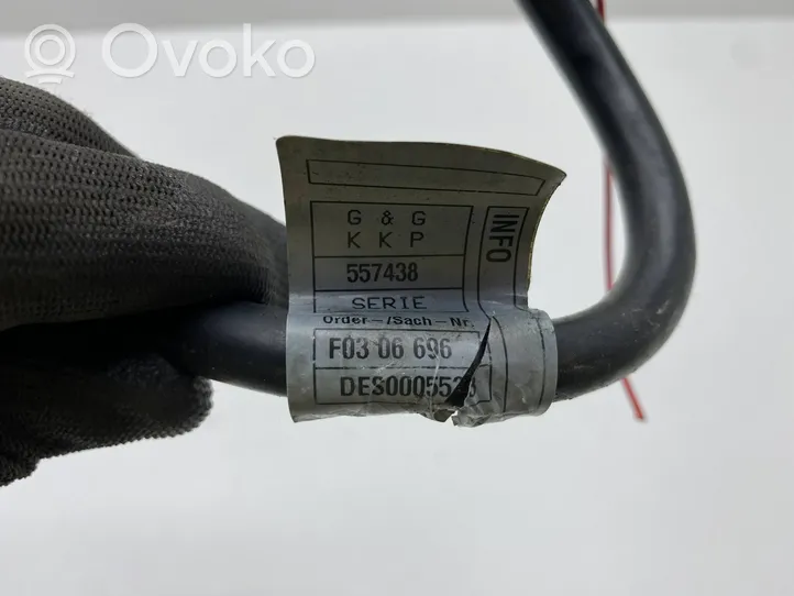 Mercedes-Benz E W212 Cavo positivo (batteria) F0306696