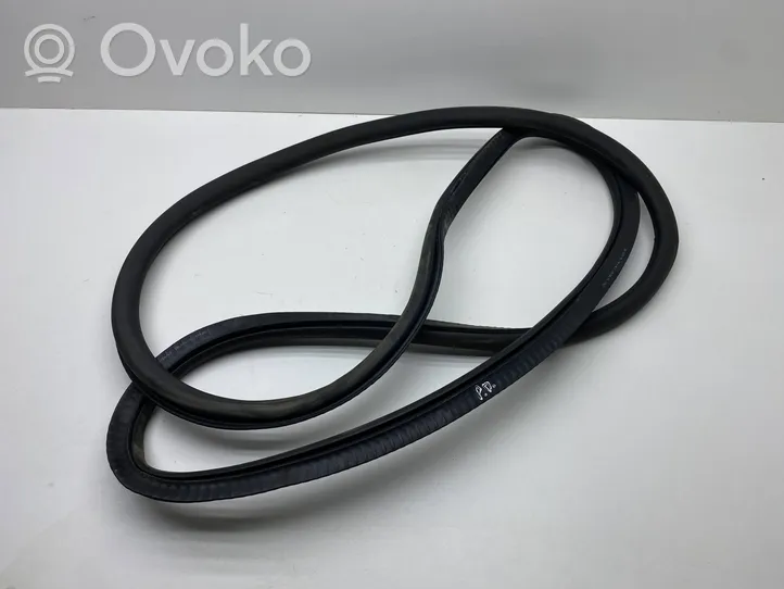 BMW 7 F01 F02 F03 F04 Front door rubber seal 