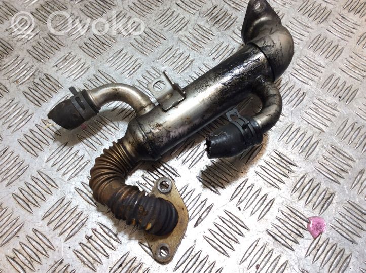 Volkswagen Cross Polo EGR valve cooler 045131513L