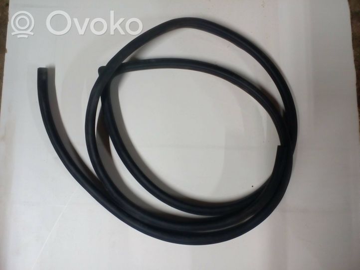 Opel Antara Front door rubber seal 