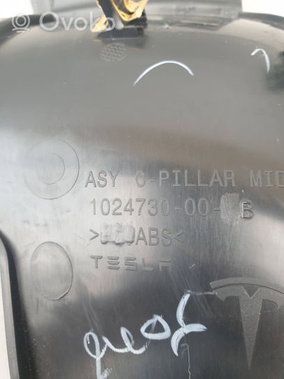 Tesla Model S Muut kojelaudan osat 102473000b