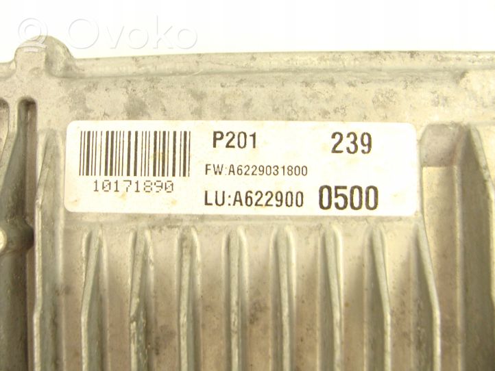 Mercedes-Benz Vito Viano W447 Sterownik / Moduł ECU A6229000500