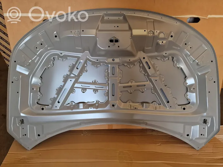 KIA Sorento Dangtis variklio (kapotas) 66400