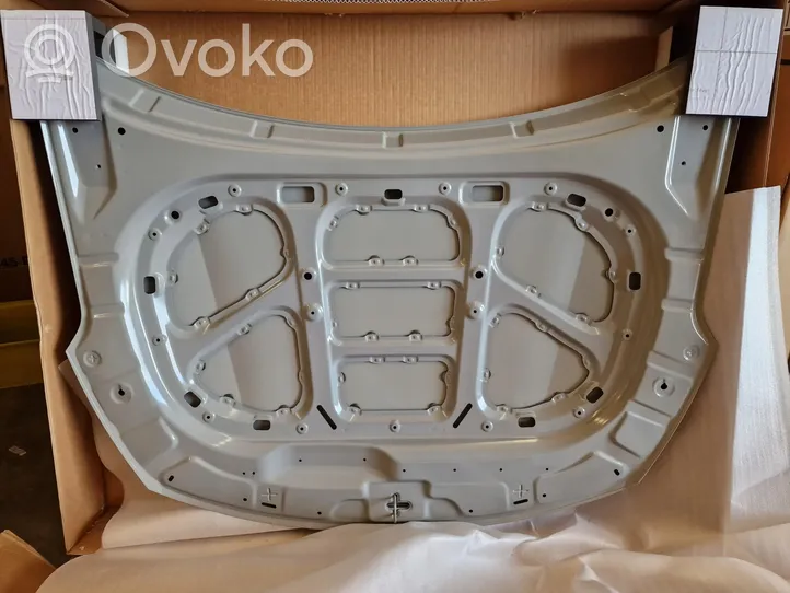 KIA Sorento Dangtis variklio (kapotas) 66400