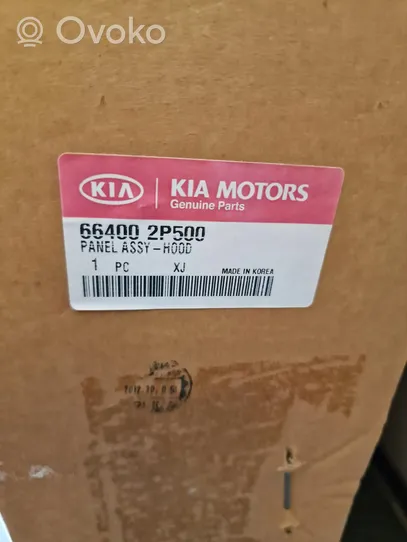 KIA Sorento Dangtis variklio (kapotas) 66400