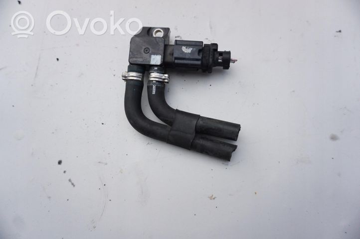 Citroen C4 II Filtr cząstek stałych Katalizator / FAP / DPF 