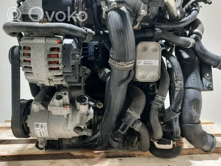 Volkswagen Golf VI Motore CAY
