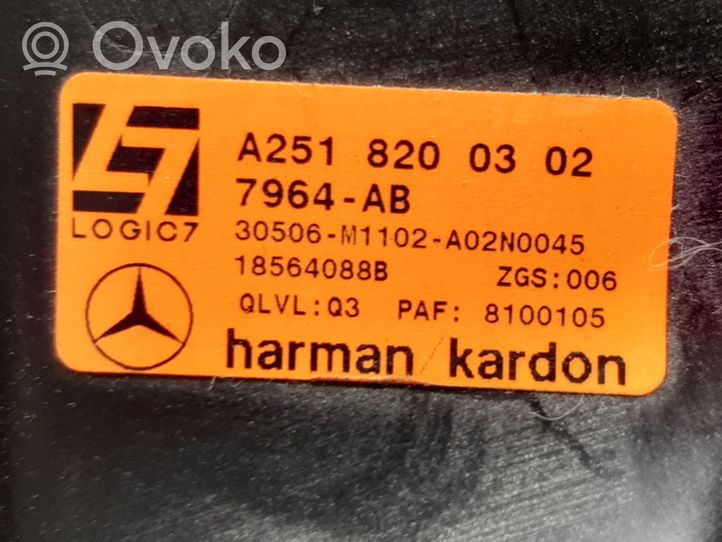 Mercedes-Benz R W251 Głośnik wysokotonowy drzwi tylnych A2518200302