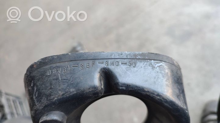 Honda Accord Verkleidung Nebelscheinwerfer / Gitter vorne 08V31SEF6MQ50