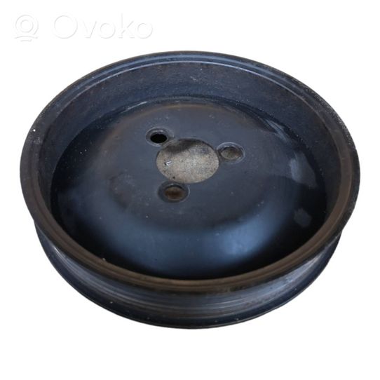 Volkswagen Crafter Power steering pump pulley 074121031