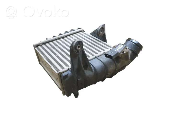 Skoda Roomster (5J) Intercooler radiator 6Q0145804A