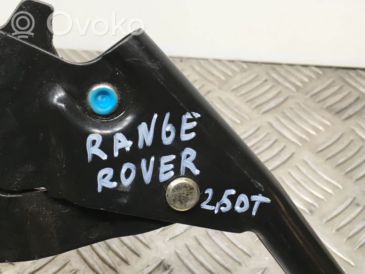 Land Rover Range Rover P38A Leva del freno a mano/freno di stazionamento 