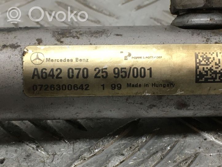 Mercedes-Benz S W221 Kraftstoffverteiler Einspritzleiste Verteilerrohr A64207025