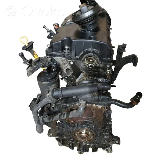 Volkswagen PASSAT B6 Engine BXE