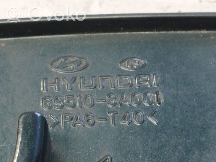 Hyundai Trajet Bouchon, volet de trappe de réservoir à carburant 695103A001