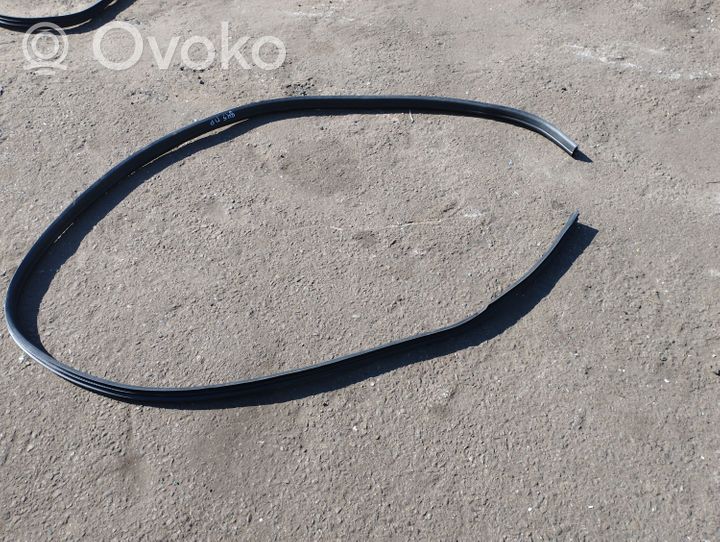 Ford Mondeo MK IV Front door rubber seal 