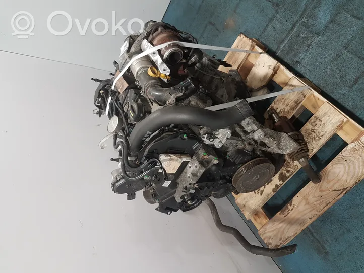 Ford Focus ST Motor DV5FC